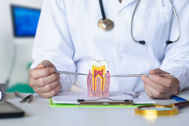 Best Emergency Care for Gum Disease in Lake Wildwood, CA